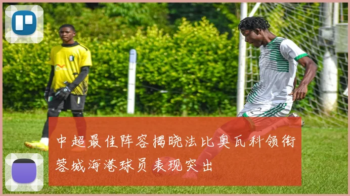 中超最佳阵容揭晓法比奥瓦科领衔蓉城海港球员表现突出